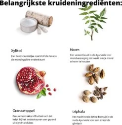 Himalaya Botanique Dentifrice Enfant Bubble Gum & Cool Mint - Mix Fun Pack - 6 X 80 G - Dentifrice Bio - Sans Fluorure - Vegan -Dentaires Appareils Magasin 1169x1200