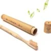 Brosse à Dents De Voyage Pour Adultes, étui En Bambou Comprenant Brosse à Dents/étui à Brosse à Dents/porte-brosse à Dents/étui De Voyage