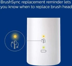 Philips Sonicare W2 Tête De Brosse Optimal White HX6064/10, Pour Des Dents Plus Blanches , Convient à Toutes Les Brosses à Dents Philips Sonicare, 4 Pièces, Wit -Dentaires Appareils Magasin 1200x1092 1