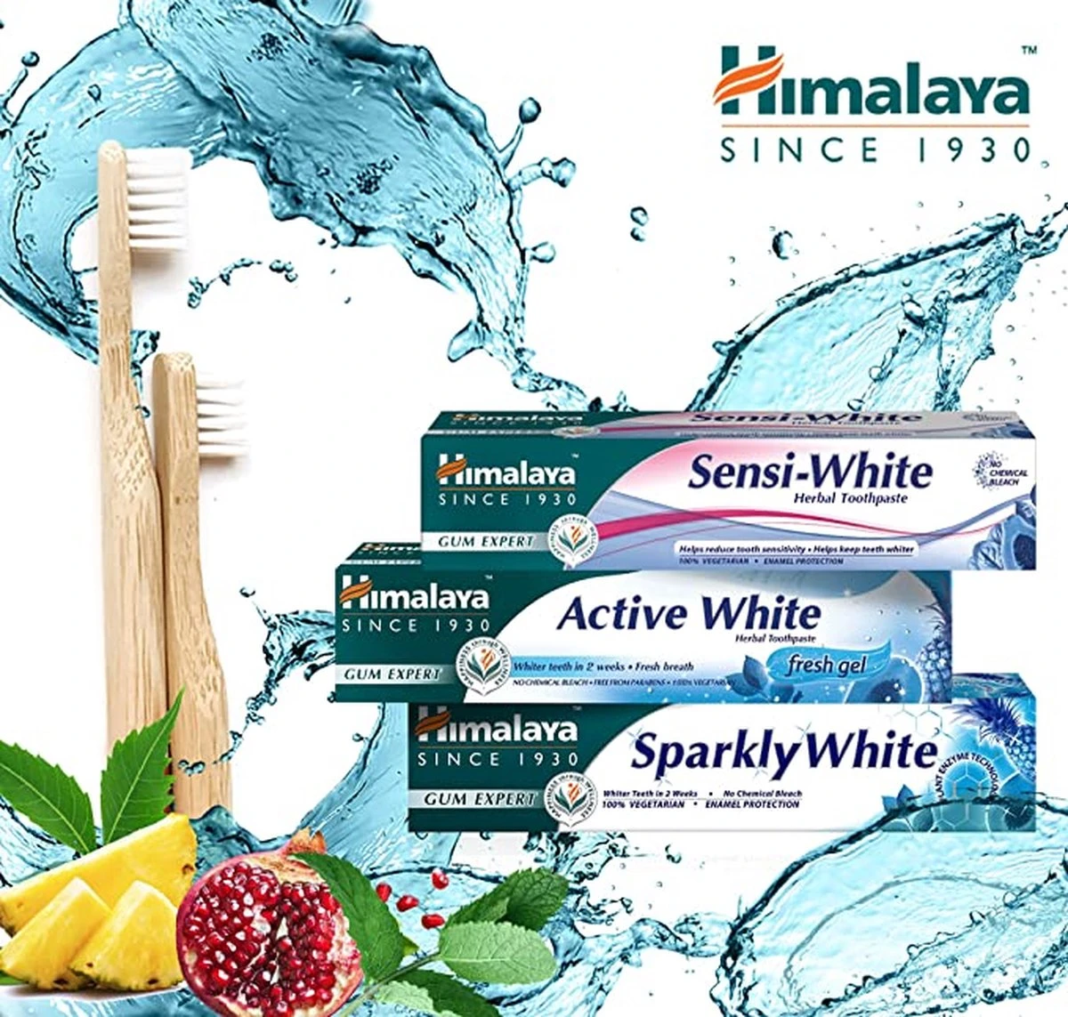 Himalaya Herbals Sparkling White - Dentifrice Aux Herbes - Dentifrice Aux Herbes - Végétarien - Dents Saines Et Witte - Dentifrice Sans Fluorure Ni Parabènes - 75 Ml 6 Himalaya Herbals Sparkling White - Dentifrice Aux Herbes - Dentifrice Aux Herbes - Végétarien - Dents Saines Et Witte - Dentifrice Sans Fluorure Ni Parabènes - 75 Ml – Image 6