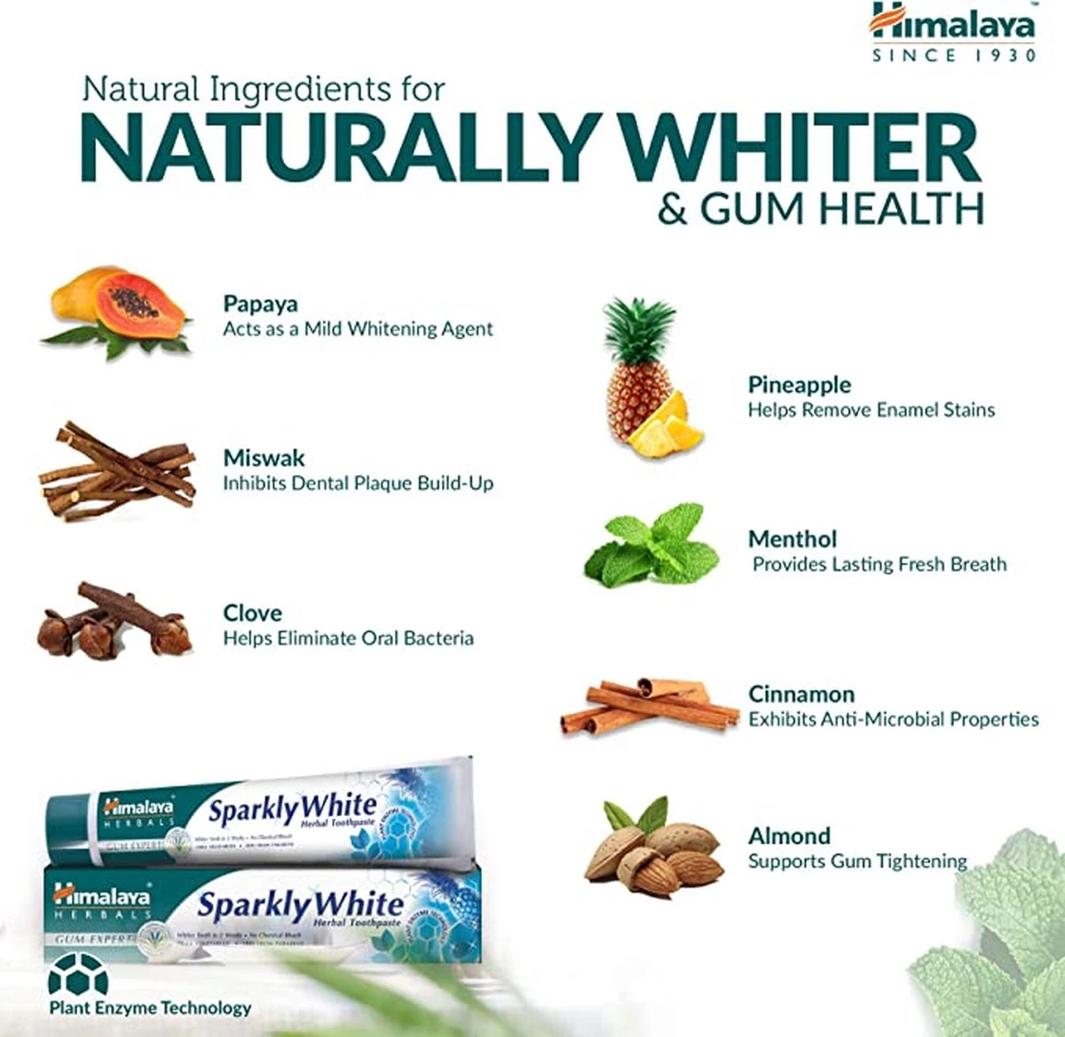 Himalaya Herbals Sparkling White - Dentifrice Aux Herbes - Dentifrice Aux Herbes - Végétarien - Dents Saines Et Witte - Dentifrice Sans Fluorure Ni Parabènes - 75 Ml 7 Himalaya Herbals Sparkling White - Dentifrice Aux Herbes - Dentifrice Aux Herbes - Végétarien - Dents Saines Et Witte - Dentifrice Sans Fluorure Ni Parabènes - 75 Ml – Image 7