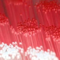 Brosse à Dents Électrique Sonic Bébé 0-5 Ans | Vert | Fonction Minuterie Avec Lampe LED | Babygators 9 Brosse à Dents Électrique Sonic Bébé 0-5 Ans | Vert | Fonction Minuterie Avec Lampe LED | Babygators -Dentaires Appareils Magasin 1200x1200