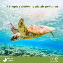 Brosse à Dents En Bambou | Dur | 4 Pièces | Brosse à Dents Eco En Bois | Blanchiment Des Dents Au Charbon De Bois Actif | Brosse à Dents Antibactérienne | Manche 100% Biodégradable | 4 Pièces | Bambaw -Dentaires Appareils Magasin 1200x1200 313