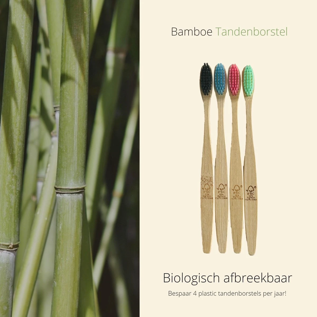 Ensemble De Brosses à Dents En Bamboe 4 Pièces - Brosse à Dents - Hygiène Bucco-dentaire - Durable - Sans Plastique - Bambou - 1 Ensemble De Brosses à Dents En Bamboe 4 Pièces - Brosse à Dents - Hygiène Bucco-dentaire - Durable - Sans Plastique - Bambou -