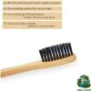 Ecorganic.nl - Soins Personnels - Dents - Brosse à Dents En Bamboe , Brosses à Dents En Bois Biodégradables En 8 Couleurs, Sans BPA, Brosse à Dents écologique Sans Plastique