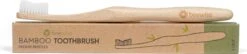 Brosse à Dents En Bambou | Set De 2 Pièces | 100% Naturel Et Vegan | Biodégradable | Sans BPA | Brosse à Dents Naturelle | Brosse à Dents En Bamboo | Poils Medium