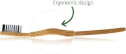 Brosse à Dents En Bambou | Doux | 1 Pièce | Brosse à Dents Eco En Bois | Blanchiment Des Dents Au Charbon De Bois Actif | Brosse à Dents Antibactérienne | Manche 100% Biodégradable | Bambaw -Dentaires Appareils Magasin 1200x517