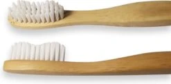 Eco Nutty - Brosse à Dents En Bamboe - Biodégradable - Salle De Bain Durable - Durable - Zéro Déchet -Dentaires Appareils Magasin 1200x592