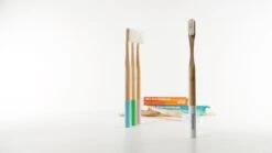 PlanetBrush KIDS - Brosse à Dents En Bamboo Pour Enfants Avec Poils à Base De Plantes (huile De Ricin)