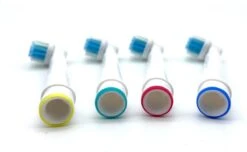 Recharge De Têtes De Brosse De Brosse à Dents électrique Blanchissante Pour Les Têtes De Brosse 8 Pièces Brosse à Dents 11 Recharge De Têtes De Brosse De Brosse à Dents électrique Blanchissante Pour Les Têtes De Brosse 8 Pièces Brosse à Dents -Dentaires Appareils Magasin 1200x740