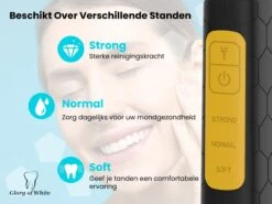 Glory Of White Tandsteen Verwijderaar Professionnel - Élimination De La Plaque électrique - Polissage Des Dents -Dentaires Appareils Magasin 1200x899 9