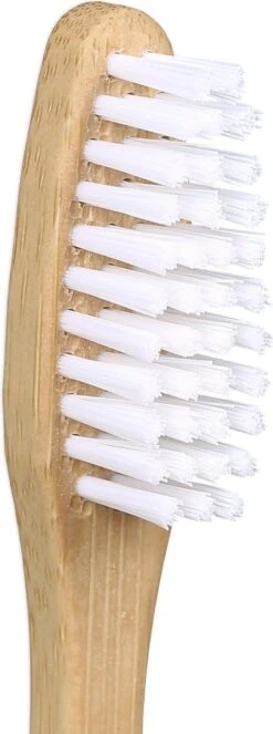 Brosses à Dents En Bambou Relaxdays - Lot De 24 - Brosse à Dents Manuelle - Durable - Blanc Naturel -Dentaires Appareils Magasin 447x1200 1