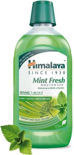 Himalaya Herbals Mint Fresh Bain De Bouche - Bain De Bouche - Élimine 99,9% Des Bactéries - Prévient La Plaque Dentaire - Ne Brandt Pas Et Sans Alcohol - Bain De Bouche Pour Une Haleine Fraîche Longue Durée - 450 Ml