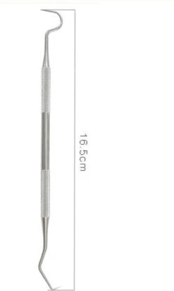 Soins Dentaires - Crochet à Dents - Outils Dentaires - Dentiste - Grattoir à Dents - Acier Inoxydable - Détartrant -Dentaires Appareils Magasin 719x1200