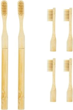 Pack De Brosses à Dents En Bamboe - 2 Brosses à Dents Avec 4 Têtes De Brosse Remplaçables - 100 % Bamboe - Poils à Base De Fibre De Bambou -Dentaires Appareils Magasin 795x1200