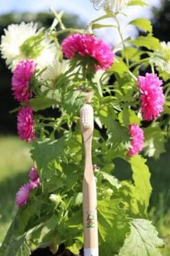 PlanetBrush KIDS - Brosse à Dents En Bamboo Pour Enfants Avec Poils à Base De Plantes (huile De Ricin) -Dentaires Appareils Magasin 800x1200 10