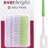 Everbright DailyPicks - 40 Pièces | Daily Dents Quotidien Pour Le Nettoyage Quotidien | Caoutchouc De Cure-dents