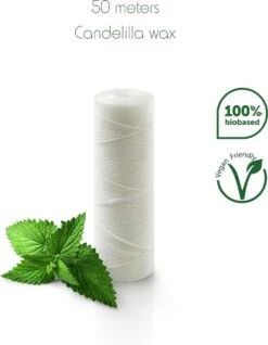 Fil Dentaire Vegan | Fil Dentaire Écologique | Ruban Dentaire | Cire De Candelilla | Zéro Déchet | Distributeur En Inox | Porte Fil Dentaire Rechargeable | Menthe | 50 M | Bambaw -Dentaires Appareils Magasin 932x1200