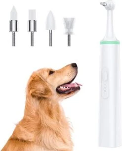 Set Complet De Détartrage électrique - Détartrant - Polissage Des Dents - Pour Des Dents Witte Et Saines (également Pour Le Chien Ou Le Chat) - Y Compris Une Tasse De Pâte à Polir Gratuite - Rechargeable Par USB - Wit -Dentaires Appareils Magasin 973x1200 1