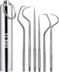 YUBBI™ Set De 4 Pièces En Acier Inoxydable Pour Dentiste Avec étui - Crochet De Dentiste - Outils De Dentiste - Crochet De Dentiste - Miroir De Dentiste - Plaque - Soins Des Dents